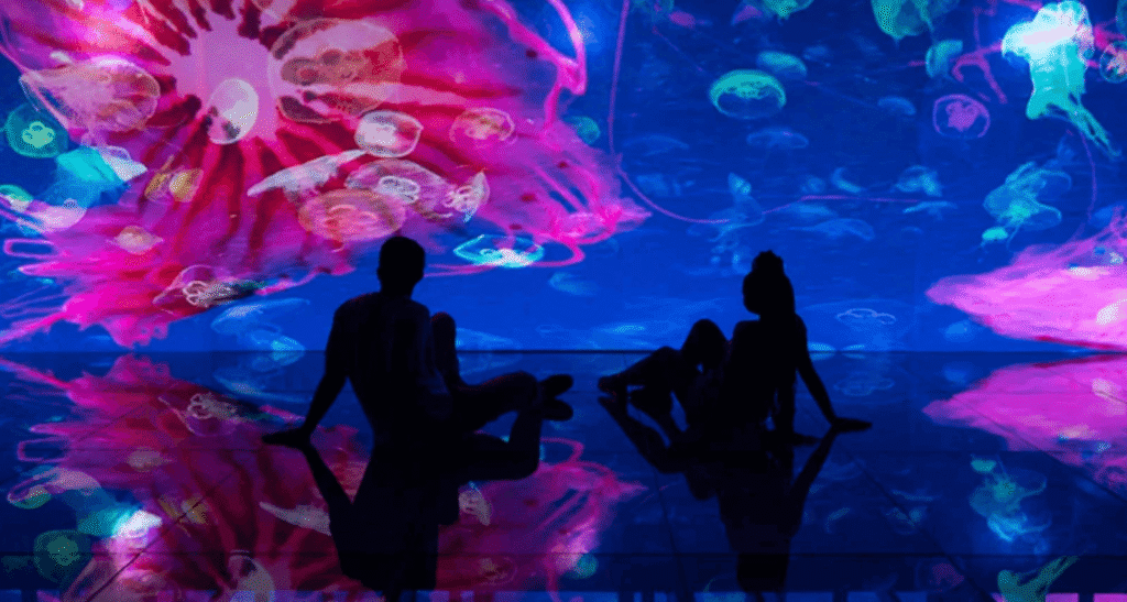 aquario 01 (1)