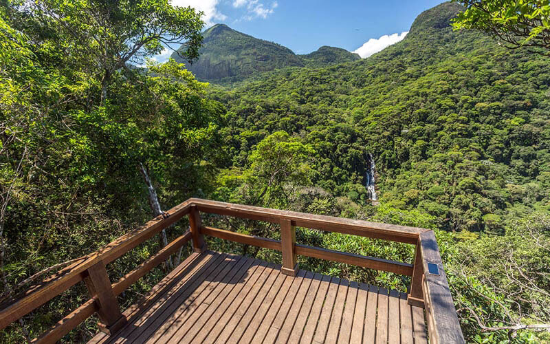 floresta da tijuca 04